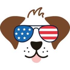 dog with american flag sunglasses