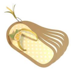 minialbum flip flop