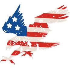 stars and stripes american eagle