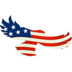 patriotic american eagle