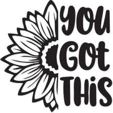 you got this sunflower