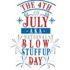 4th july blow stuff up day