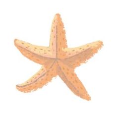 painted starfish