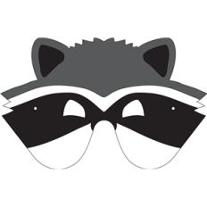 raccoon mask