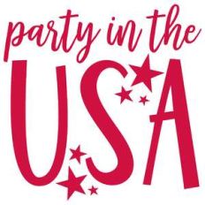 party in the usa
