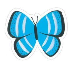 butterfly