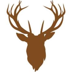deer head