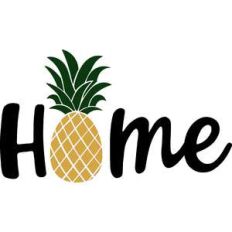 home pineapple