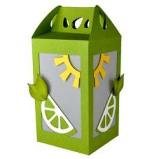 summer lime lantern