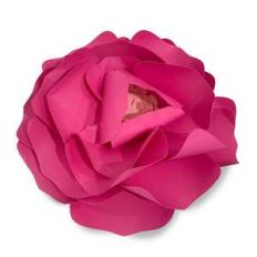 heritage rose