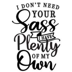 don't need your sass plenty of own