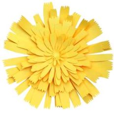 dandelion 3d flower