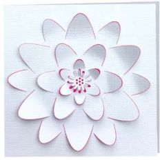 water lily 3d card