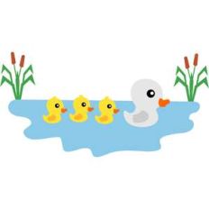 duck and ducklings