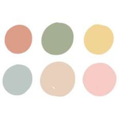 color minimal circles