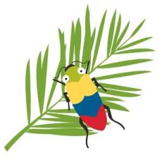 beetle with leaf