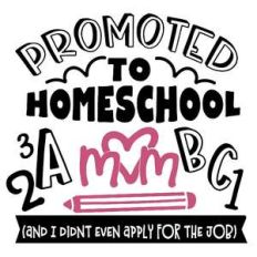 promoted to homeschool mom