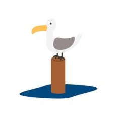 seagull