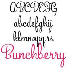 pn bunchberry