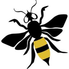 hornet