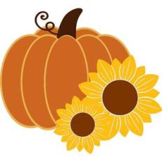 sunflower pumpkin