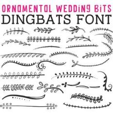 cg ornamental wedding bits dingbats