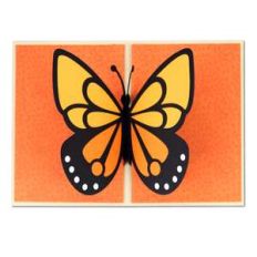 5x7 pop up butterfly card