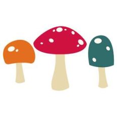 mushroom medley mushroom set
