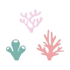 corals