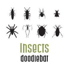 DB insects doodlebat