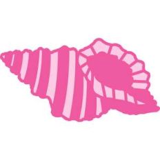 seashell