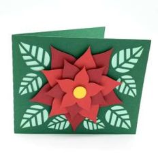 poinsettia flower card