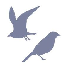bird silhouettes