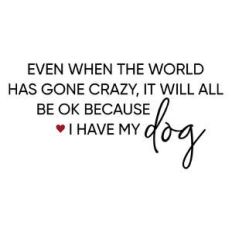 even when the world has gone crazy - dog phrase