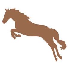horse jumping