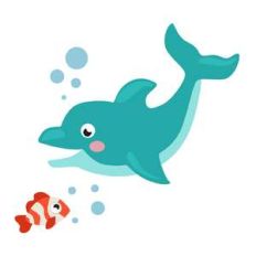 dolphin and buddy