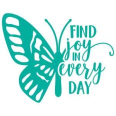 find joy in everyday