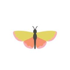 moth