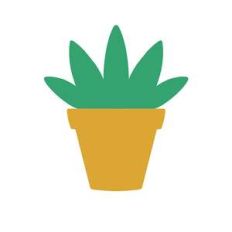 house plant
