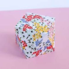 triangle twist box