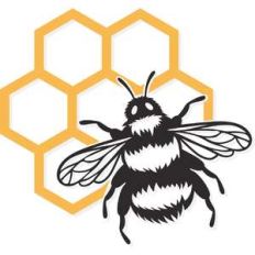 bumblebee hive