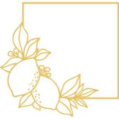 lemon square frame