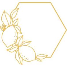lemon hexagon frame