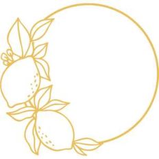 lemon circle frame
