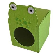 frog peek a boo box
