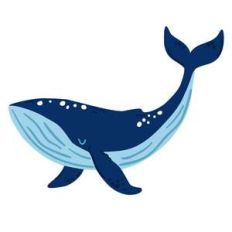 humpback whale