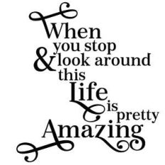 when you stop and look around this life is pretty amazing