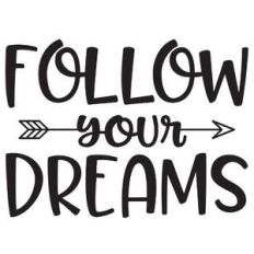 follow your dreams arrow quote