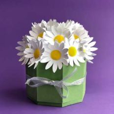 dome box with daisies