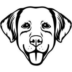 dog face